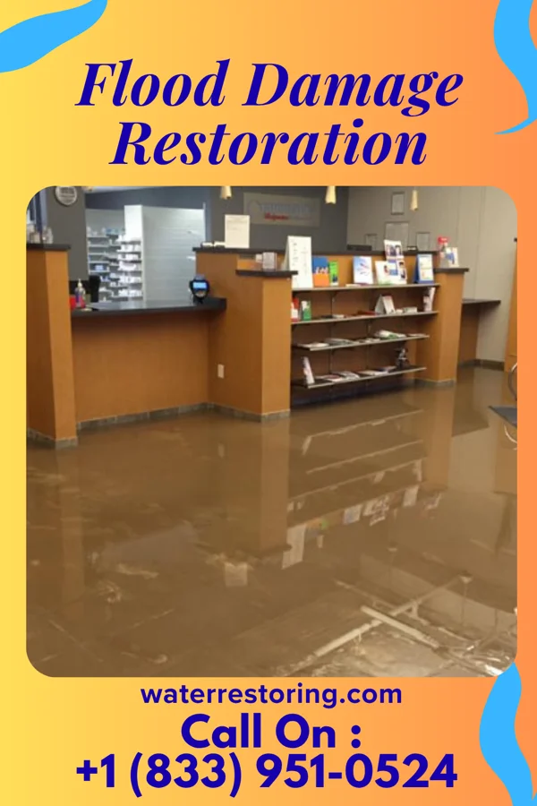 Flood Damage Restoration in Mulberry, IN