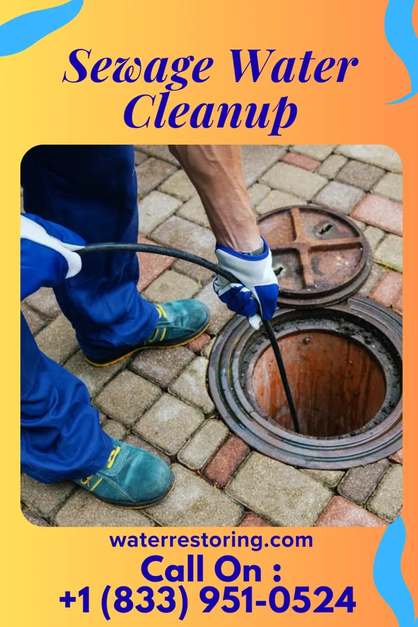 Sewage Water Cleanup in Mulberry, IN