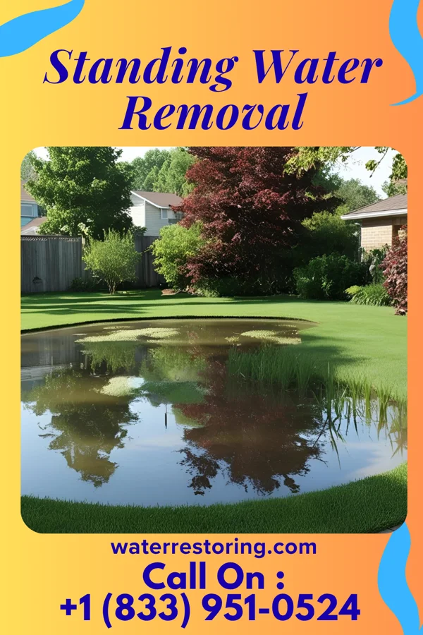 Standing Water Removal in Mulberry, IN